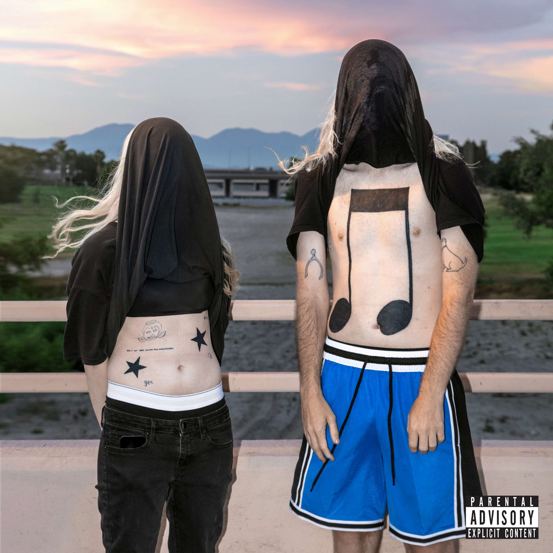 desktop album art on the right of the website for 1000gecs